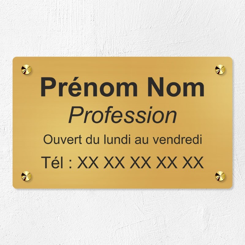 Plaque professionnelle en laiton 25x15cm