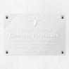 Plaque vétérinaire en plexiglas transparent 30x20cm